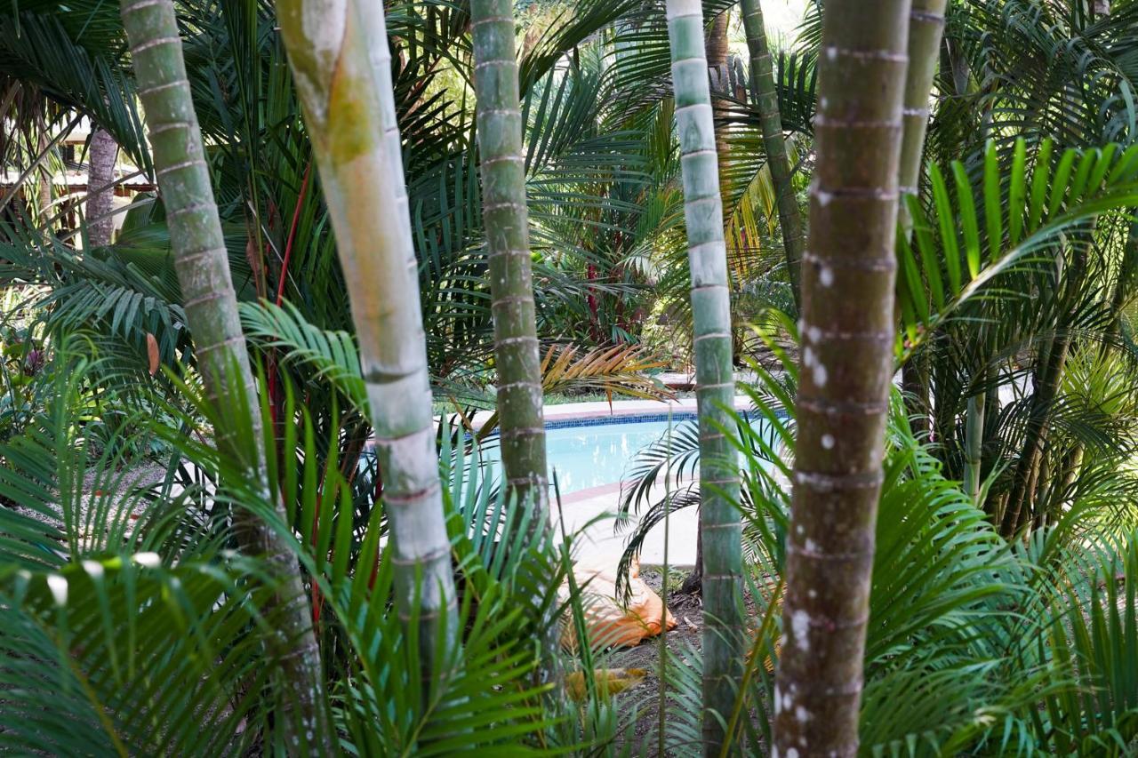 Hotel Luz De Luna Playa Santa Teresa  Eksteriør bilde